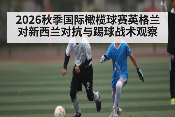 2026秋季国际橄榄球赛英格兰对新西兰对抗与踢球战术观察